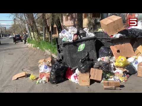 Video: Ինչպե՞ս վարժեցնել ձեր պիգին օգտագործել աղբի տուփը