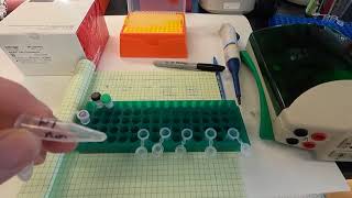 How to do a polycystin-1 Western blot.