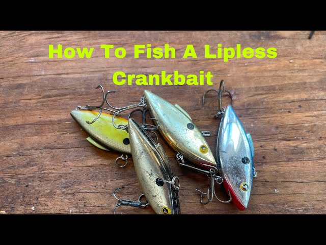 How And When To Fish A Lipless Crankbait… 