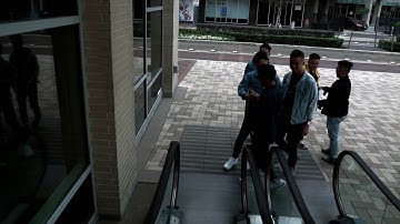 LAMBDA PHI EPSILON | RUSH SPRING 2020 | BETA GAMMA