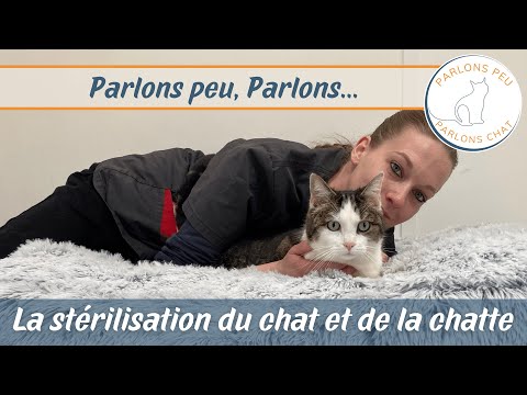 Parlons peu, parlons