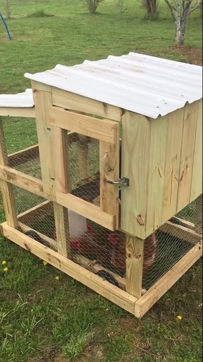 Small portable chicken coop #review #reviews