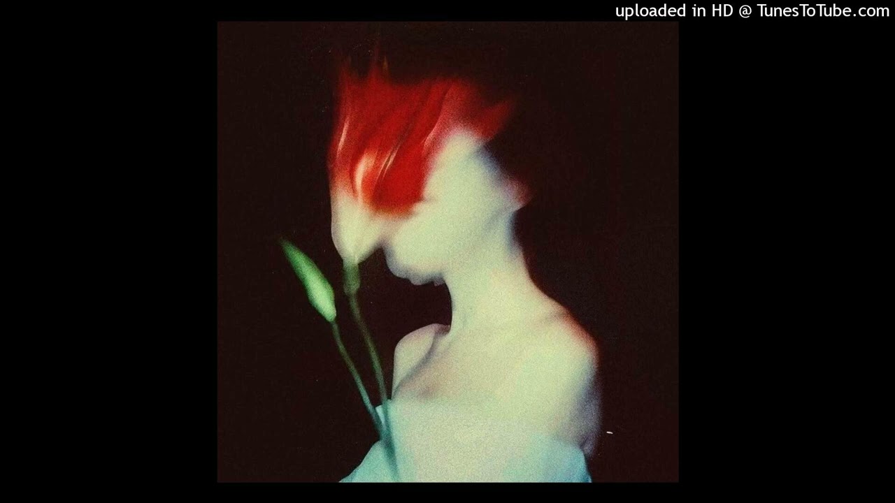 [FREE] Don Toliver x Acoustic x grunge folk type beat - 