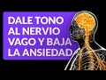 Ejercicios para darle tono al nervio vago y bajar la ansiedad