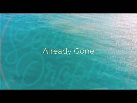 "Already Gone" by Seawall Prophet [Lyric Video]