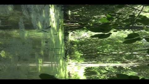 Julian Treasure experiment