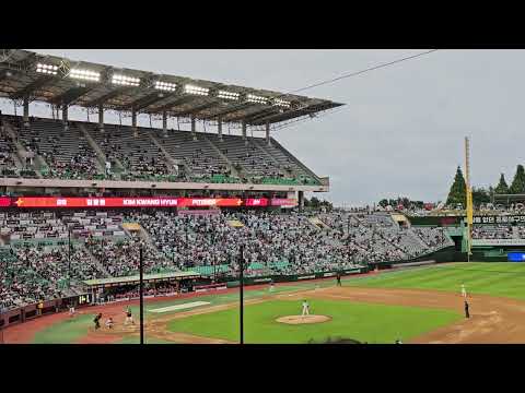 NC다이노스 김형준 응원가 20240622