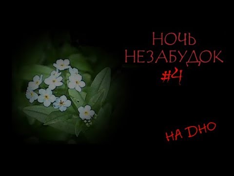 Ночь незабудок