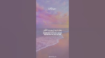 آية الكرسي | القارئ : عبدالرحمن مسعد | #alquran #راحة_نفسية #عبدالرحمن_مسعد #fypviralシ 