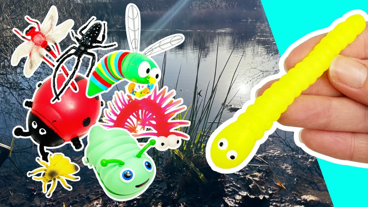 Bug Insect Names & Facts | Learning Fun for Kids: Caterpillar Earthworm Ladybug