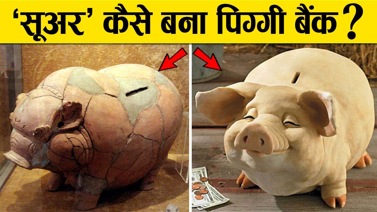 कीचड़ में रहने वाला ‘सूअर’, कैसे बना पिग्‍गी बैंक ? पूरी कहानी Piggy