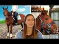 I bought a pregnant horse without knowing it!