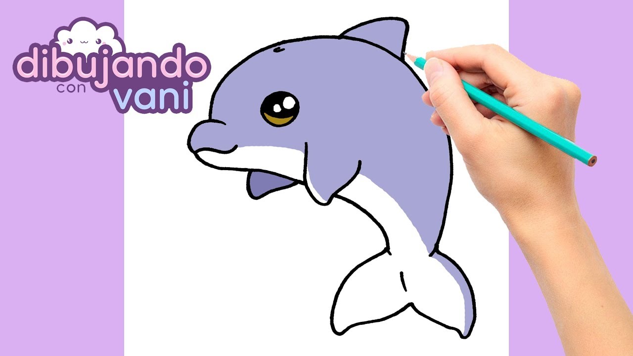 How to draw a dolphin kawaii - thptnganamst.edu.vn