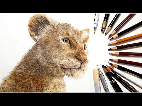 ライオン キング シンバを描いてみた Realistic Colored Pencil Drawing Of Lion King Simba Youtube