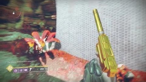 Destiny 2 Infinite Fallen Spawn on Nessus