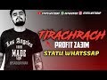 PROFIT ZA3IM STATU WHATSAPP TIRACHRACH ترشرش PROFIT ZA3IM STATU WHATSAPP TIRACHRACH ترشرش