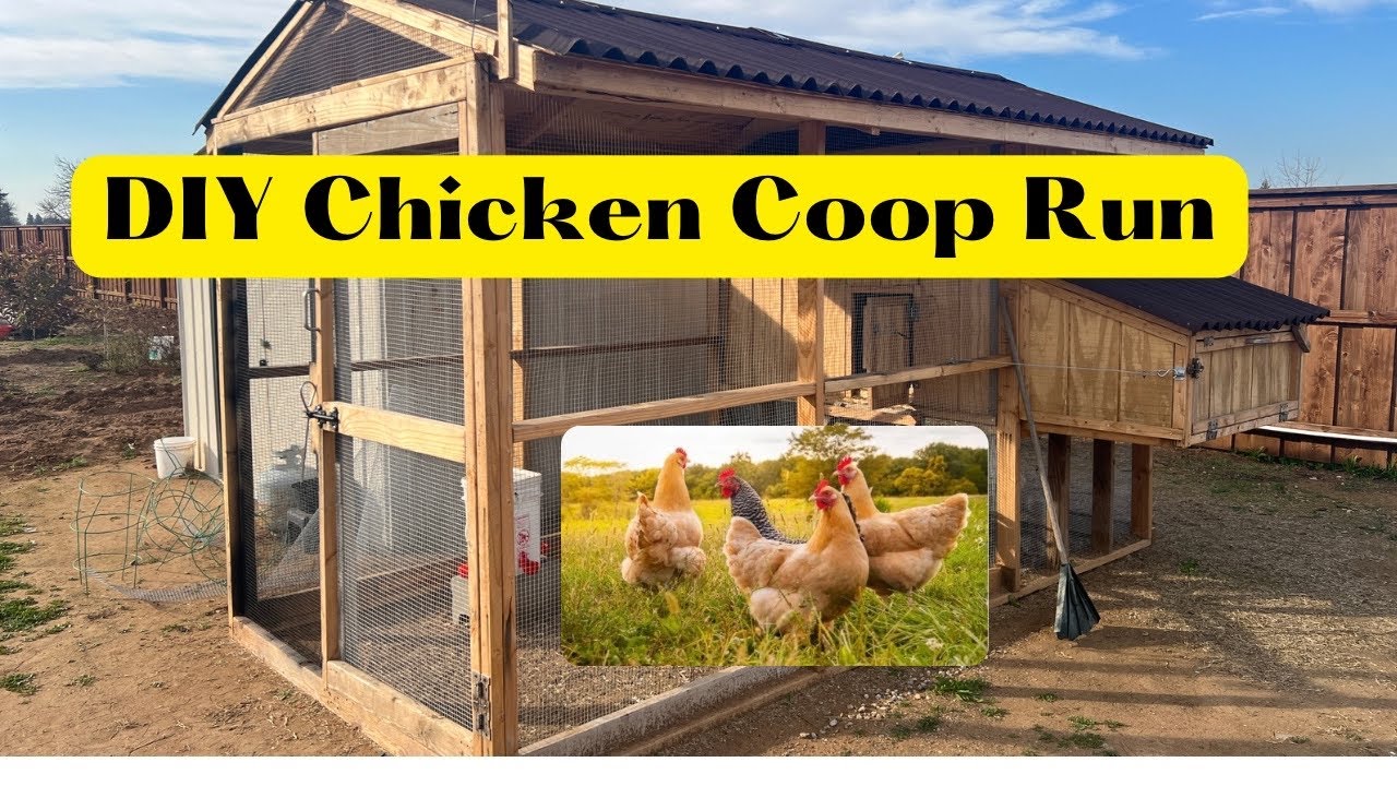 How I Made My Chicken Coop I Easy Cheap Custom I Best One With Lot Of