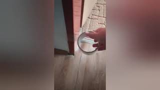 Ondy Mikula-Prank VINE#2