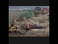 المتشريدين إنزكان اكادير  