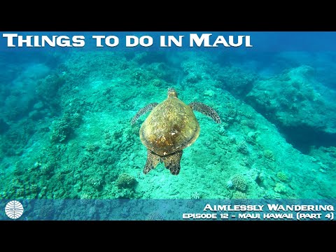 Video: Hướng dẫn đến Lahaina, Maui