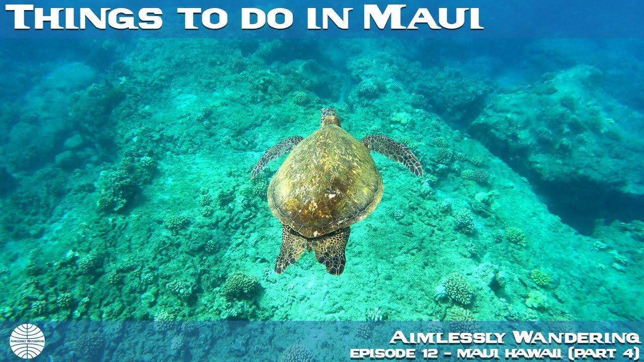 Fun activities in Lahaina Maui Hawaii - YouTube