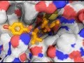 Chemical Biology - Small Molecules Making a Big Impact