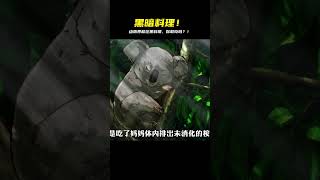 動物界的黑暗料理,充滿著魔力 #動漫推薦 #我在抖音看動漫 #充能計劃 #二次 #仙漫人說 #解說 #電影解說 #酷拉皮卡 #獵人