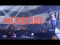 Molécule - 60° 43' Nord - Live (Scopitone 2016)