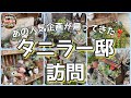【人気企画】久しぶりのタニラー邸訪問❣️東京まで行っちゃったよ〜😆見所満載多肉御殿✨✨
