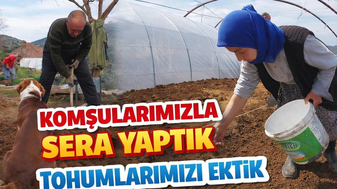 🔥 Komşularla Sıfırdan Sera Kurduk! Sonuç İnanılmaz 😱🌱 