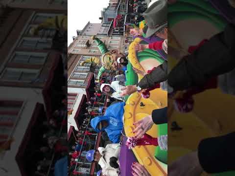 فيديو: زيارة نيو اورليانز في يناير