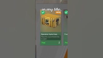 CS2 Can ACTUALLY Make You RICH