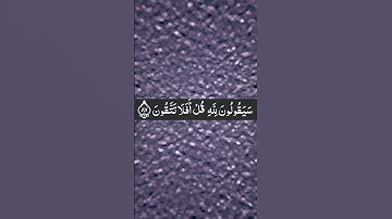 تلاوة خاشعة لآيات من سورة المؤمنون🌸🤍بصوت الشيخ ياسر الدوسري.