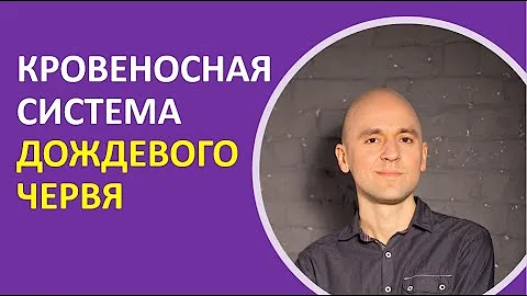 32. Кровеносная система дождевого червя