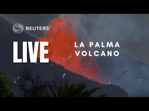 LIVE: Lava gushes from volcanic eruption on Spain’s La Palma island