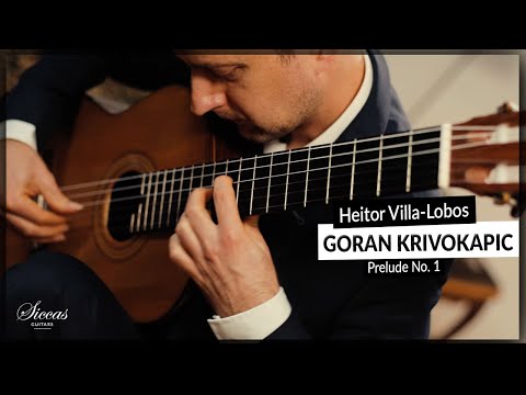 Goran Krivokapic plays