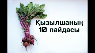 Қызылшаның 10 пайдасы / Қызылшаны көп жемейтіндер көрсін..