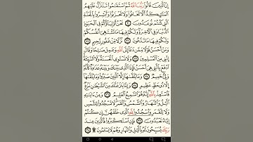 ماهر المعيقلي سورة فصلت مكتوبة صفحة 480 مصحف المدينة المنورة جودة عالية