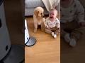 【爆笑】おやつを奪う赤ちゃんに抗議する子犬が可愛すぎる！😂👶🐶 [LOL] Puppy Protests After Baby Steals His Treat
