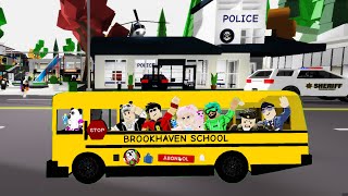 Brookhaven Okul Zamani Han K, Harika Panda, Babi Oyunda, Samet Karataş, Numacher, Heronpuppy