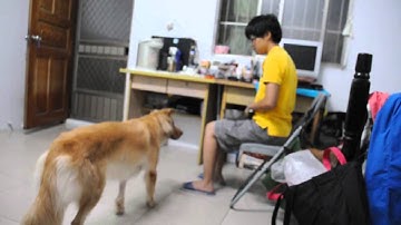 Jhao Ling Ya, Web Lesson 3, Exercise Packet 1, Exercise 3, Capture something new