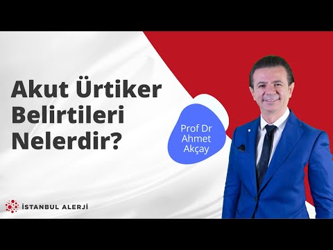 Video: Yaygın ve sıradışı ürtiker kelebeği