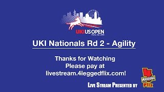 2016 UKI US Open - Nationals Rd 2 - Agility (Ring 1)