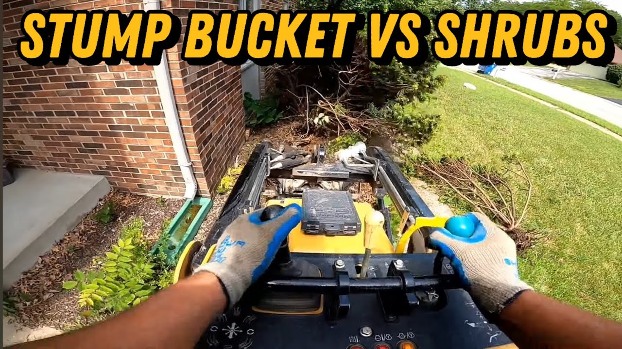 Lots of Shrubs Removed With Mini Skid Steer