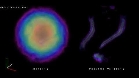 Vortex Tangle (Show)