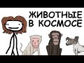 Животные в Космосе | Академия Сэма Онеллы | Русский Дубляж