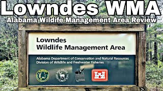 Public Hunting Land Review- Lowndes Wildlife Management Area 