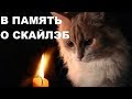 В ПАМЯТЬ О СКАЙЛЭБ