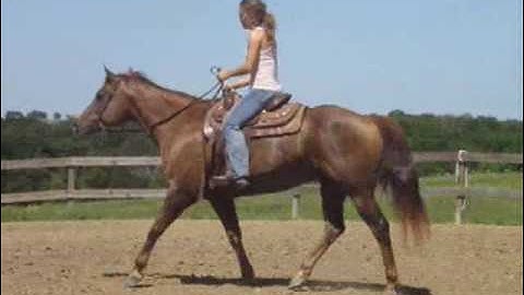 HF Quick Melinda      ***For up-to-date info, price, etc., go to our website***