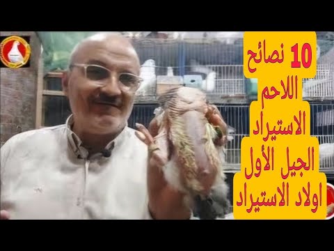 10 حاجات لازم تعرفهم لو هاتشترى حمام لاحم فرنسى بيور استيراد
